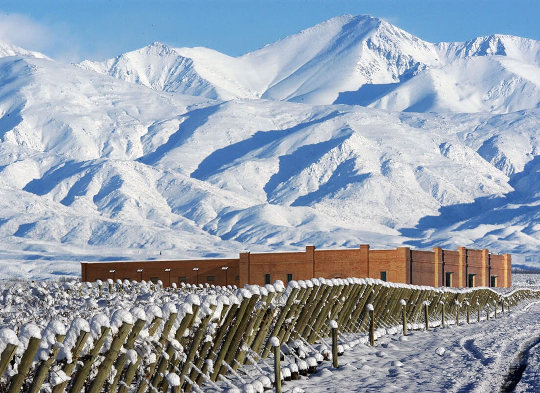 Bodega-Andeluna-savarin-turismo